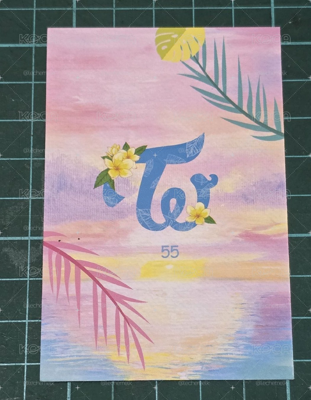 夏日隨機卡 55 娜璉