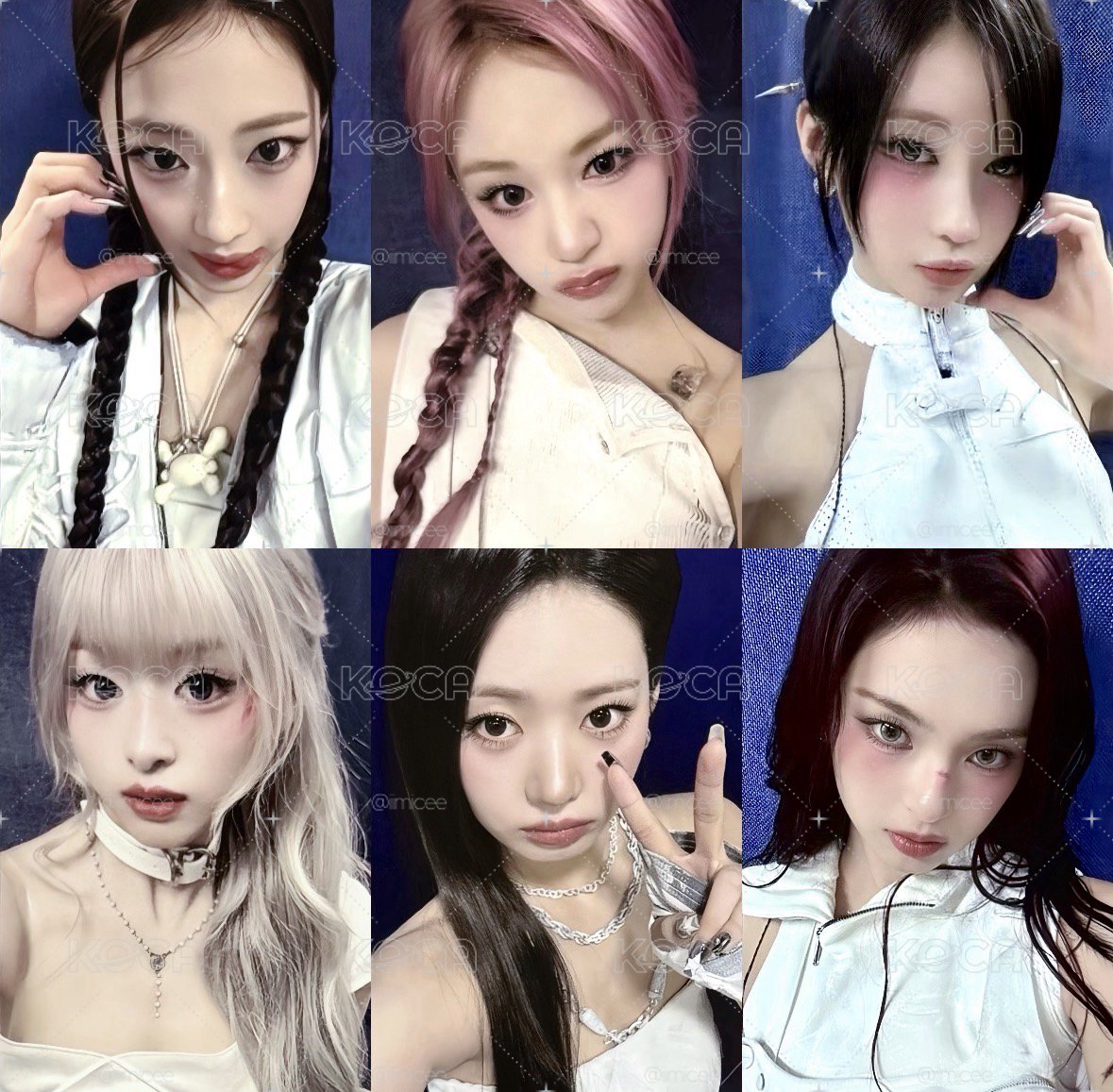 二週年會員卡