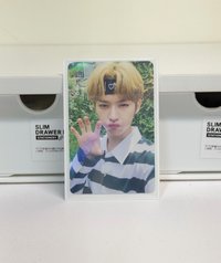 毛爪糯 （卡背損）