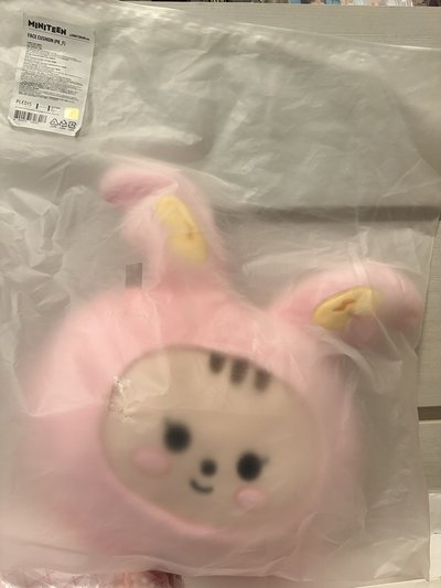 SEVENTEEN MINITEEN 抱枕 兔拉米 淨漢