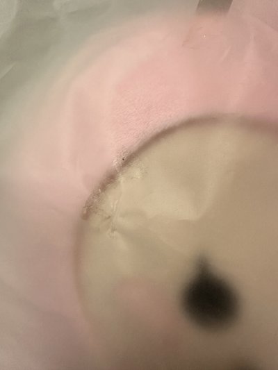 SEVENTEEN MINITEEN 抱枕 兔拉米 淨漢