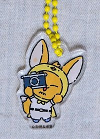 黃春拍照