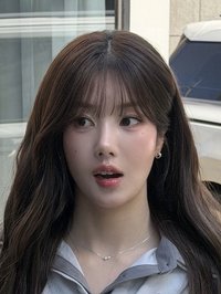全嗯飛的狗
