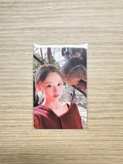 Whiplash QQ音樂 星光卡 四星冬