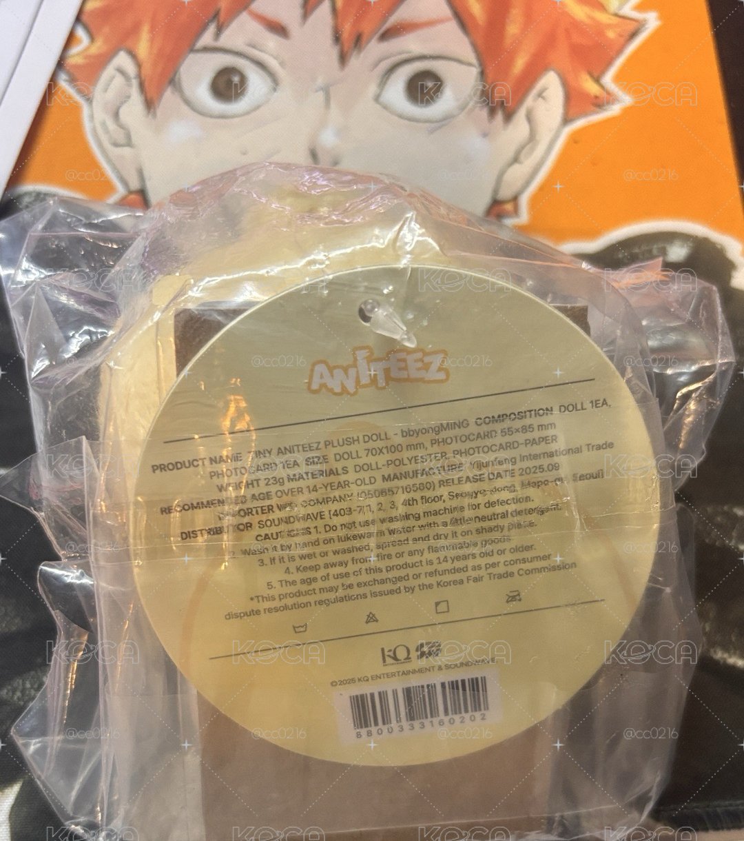 小雞寶寶娃