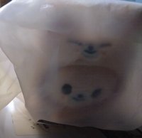 寅