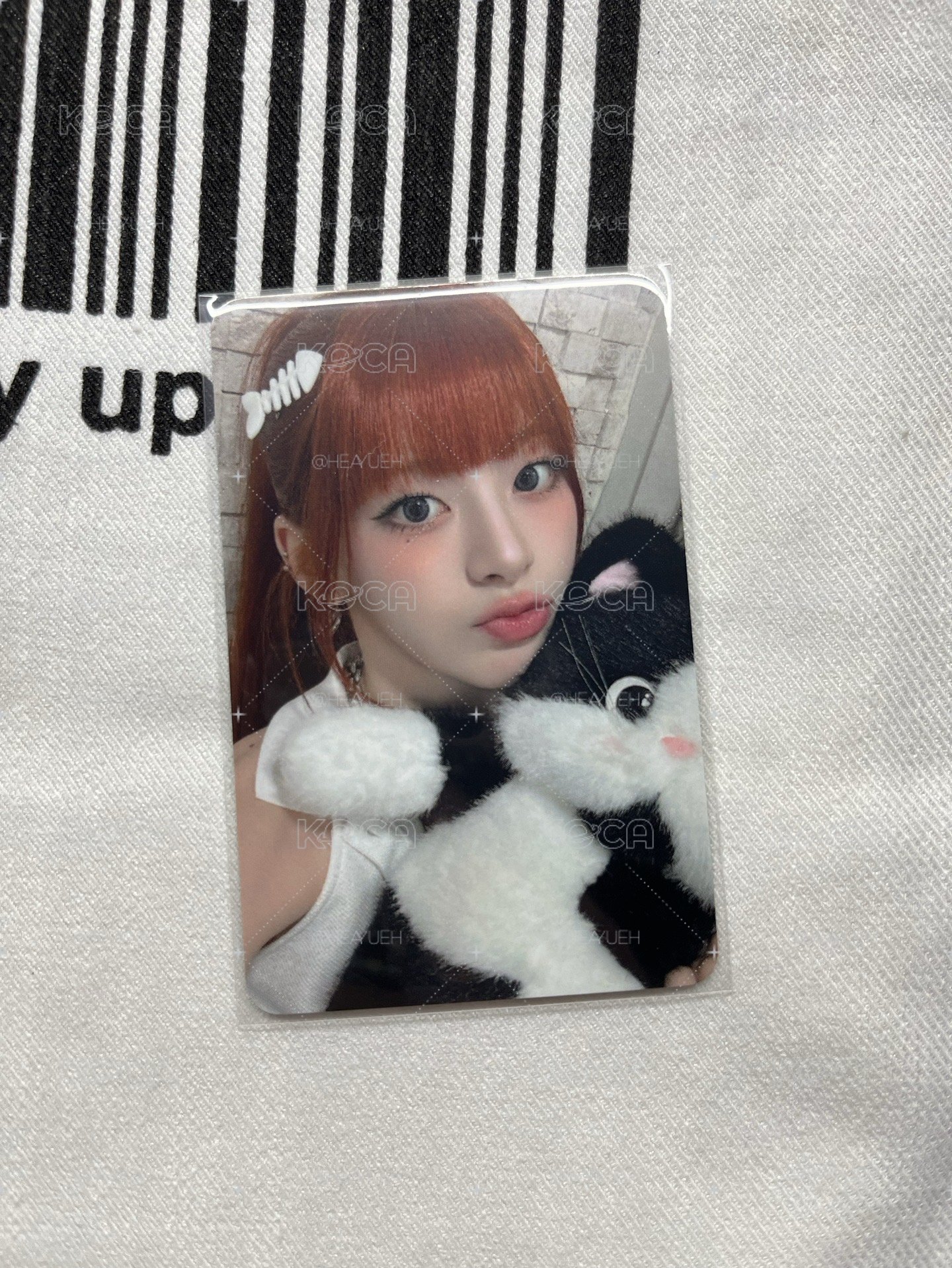 SEEUN🦊貓咪森