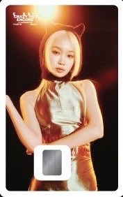 25‘巡迴 交通卡 namane