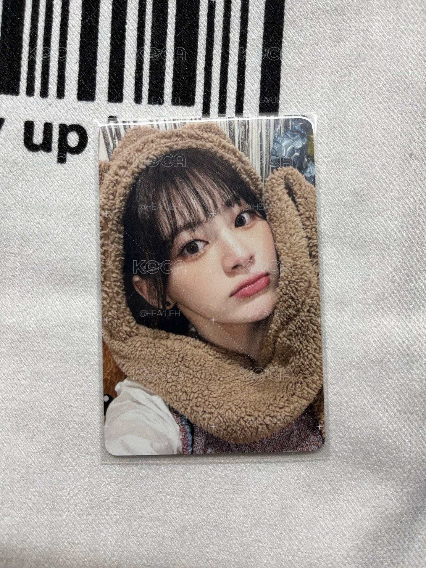 SEEUN🦊小熊森