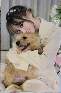 四巡MOMO設計周邊 狗狗卡 周邊卡 