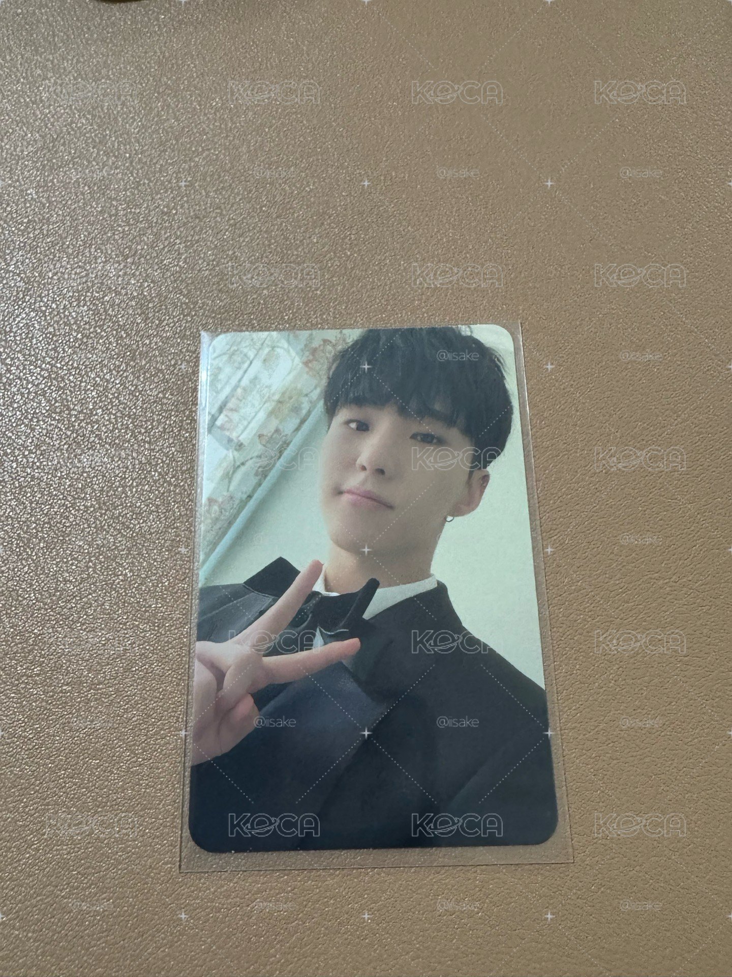 SVT HOSHI 順榮 迷10