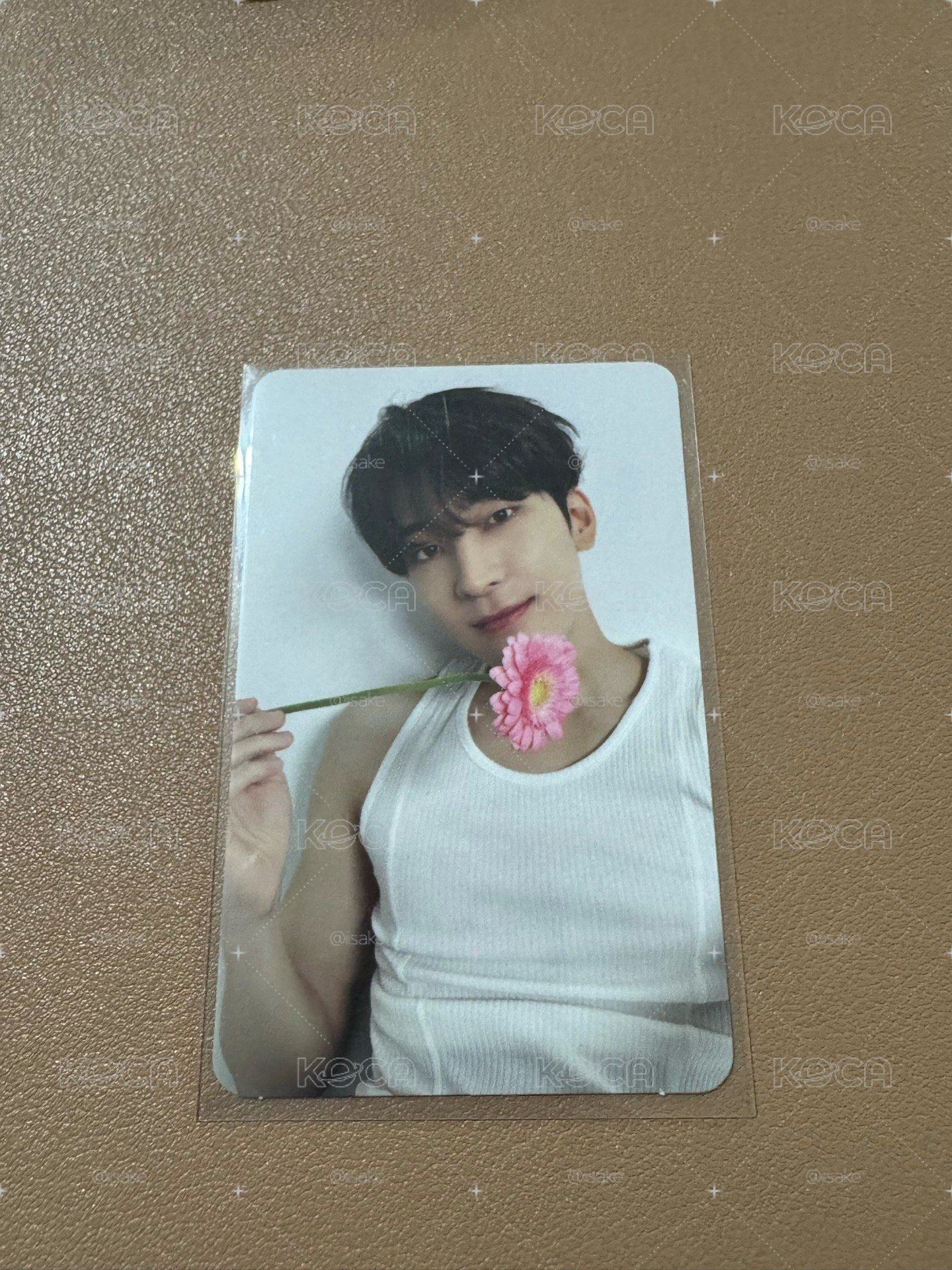 SVT WONWOO 圓佑 精選專克拉盤