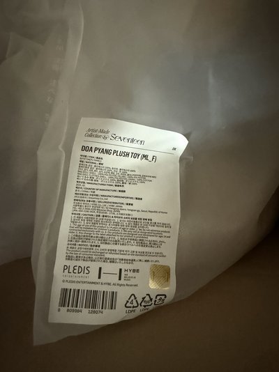 SEVENTEEN 成員自製 DOA 娃娃玩偶 李碩珉