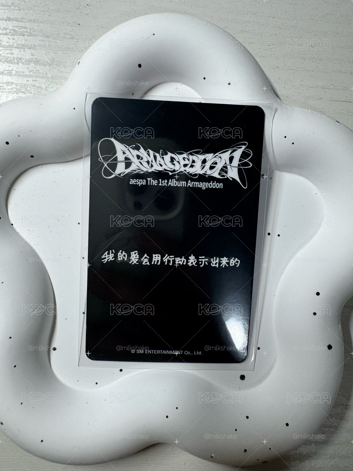 KMS中背柚