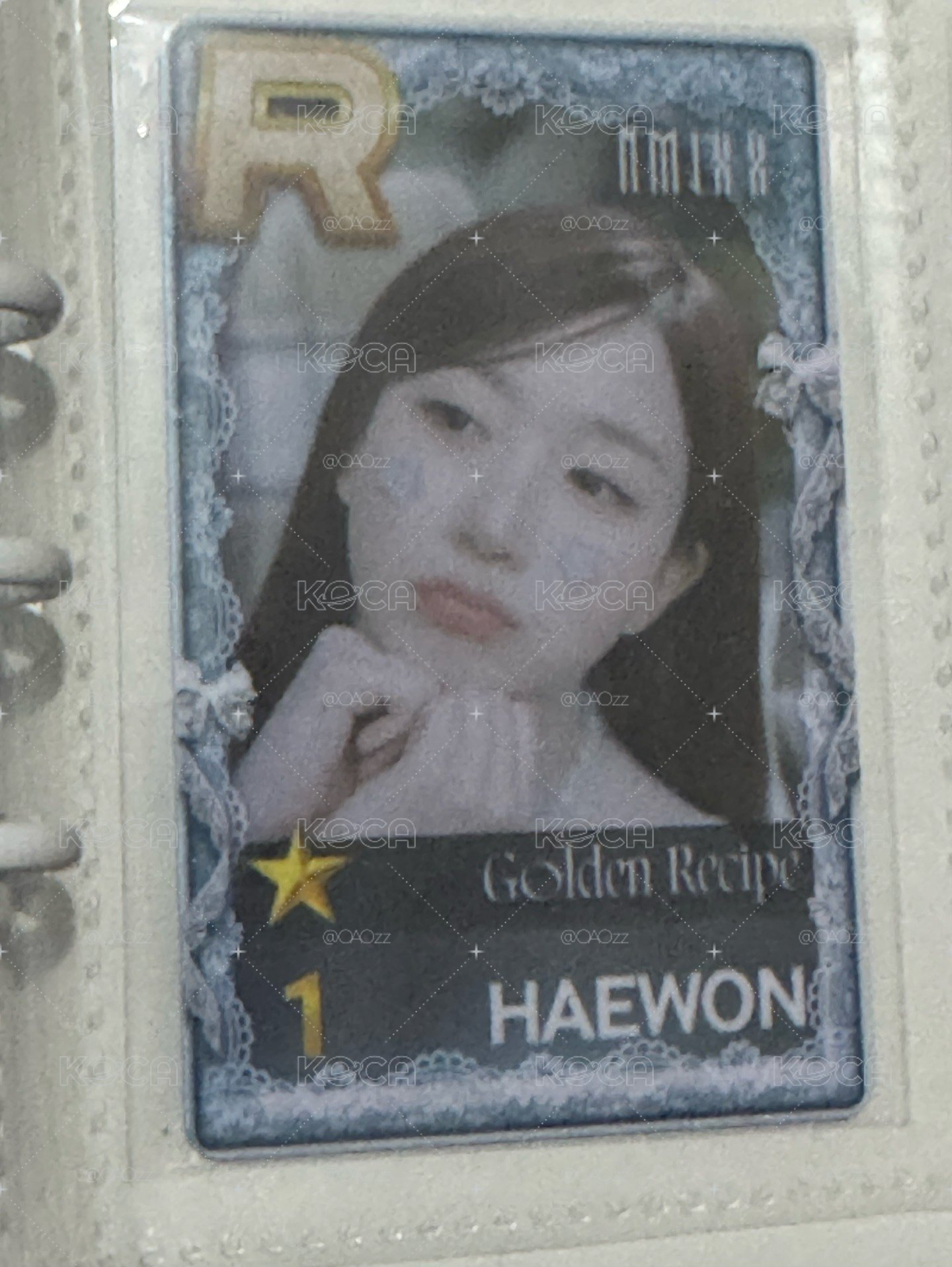 SSJYP遊戲卡 Golden Recipe