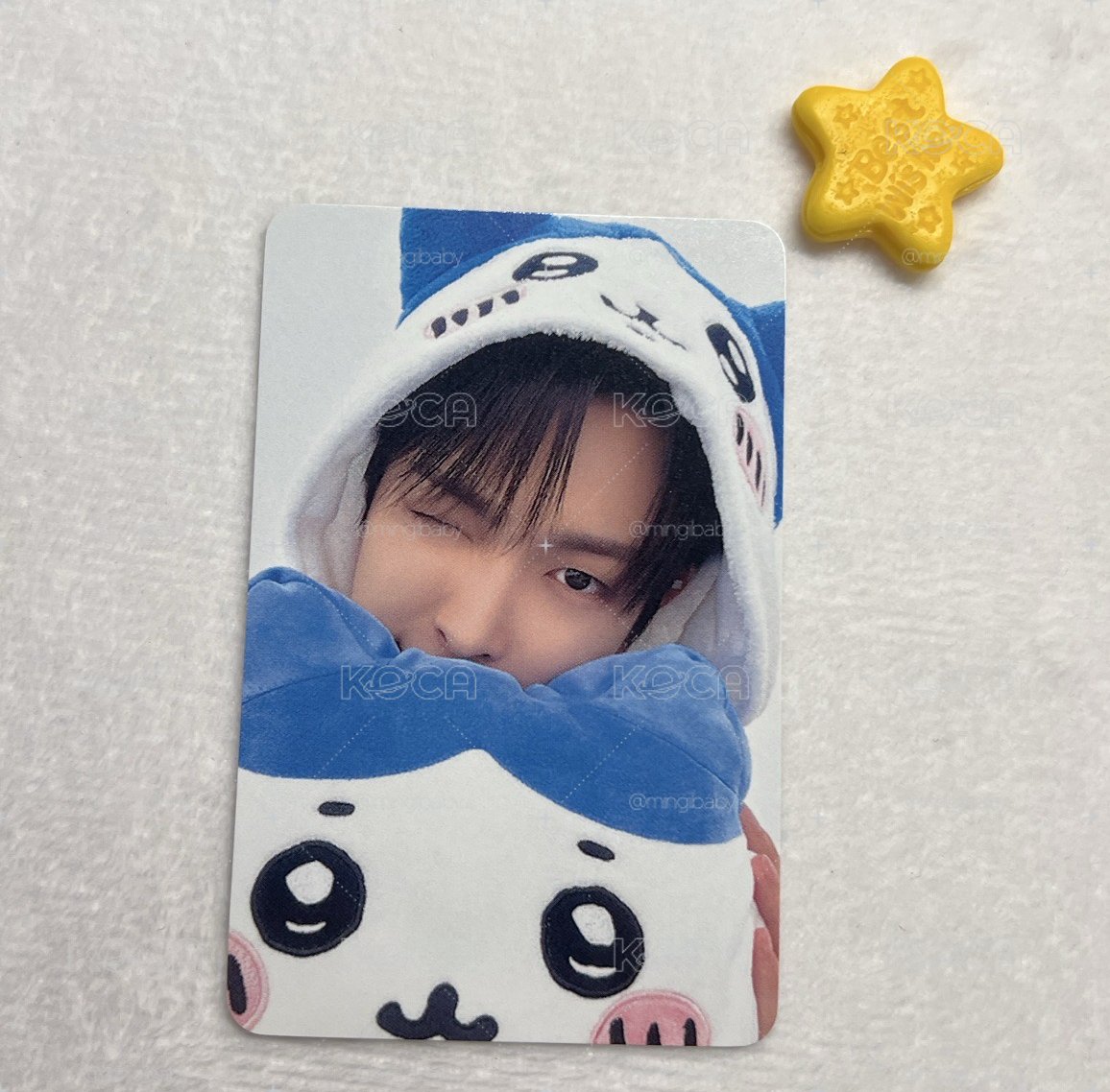 小八中中🐿️