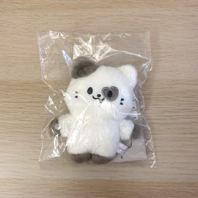 現貨 ITZY TWINZY 磁鐵娃 禮志 YEJI 