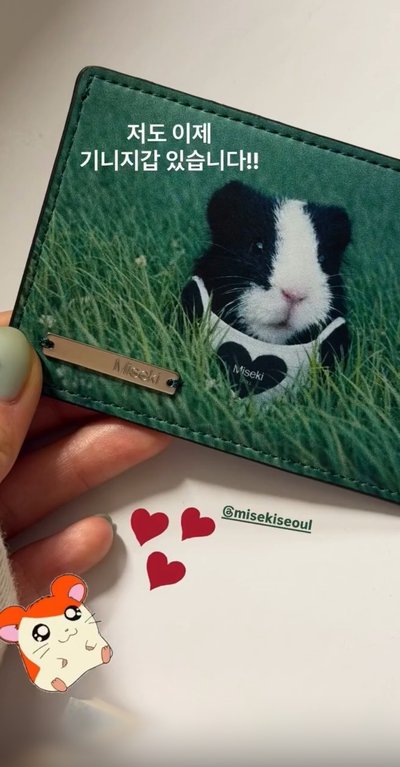 REI × Misekiseoul 豚鼠皮夾🐹