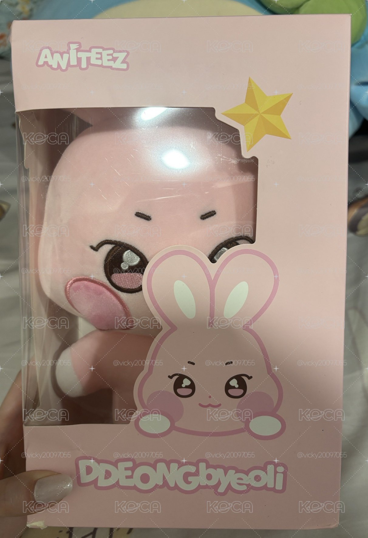 咚花找新媽🐰