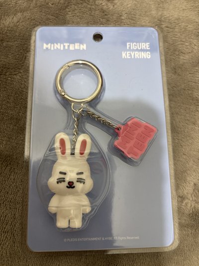 現貨SEVENTEEN 日本HMV MINITEEN吊飾