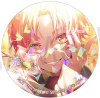 細閃 Colorful Palette Store vol.8 B 徽章 三週年隊長花後碎閃特典