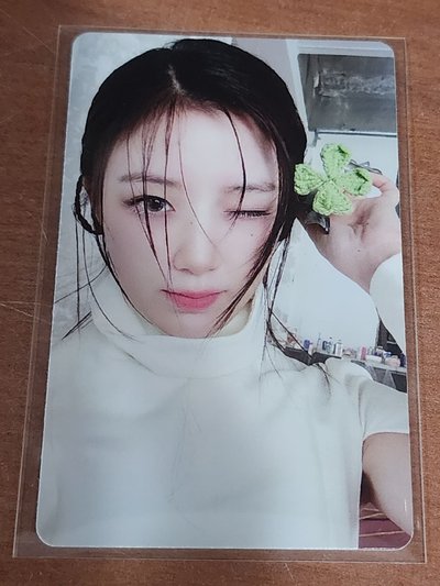 永不服舒中文卡背