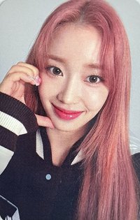 泰迪熊 sr 1.0 特典卡 