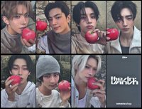 SC蘋果羲(可直出)