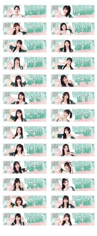 2026 WingStars 萌力暴擊！主場應援巾