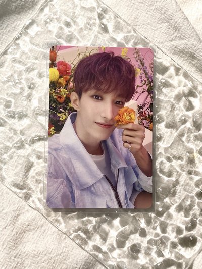 🎀Always yours A盤碩專卡