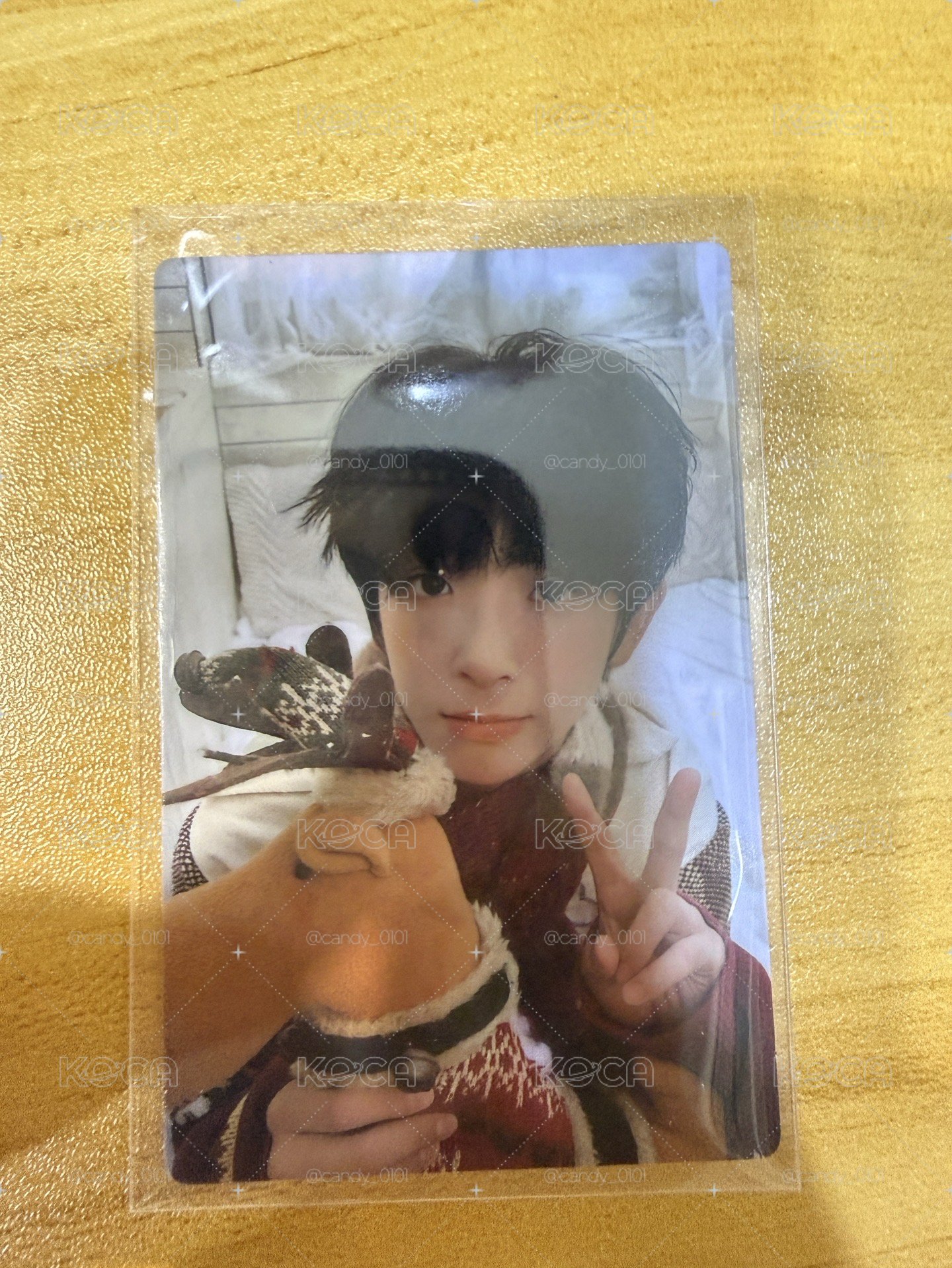 陳浚銘小卡
