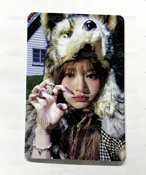 🐺Minami