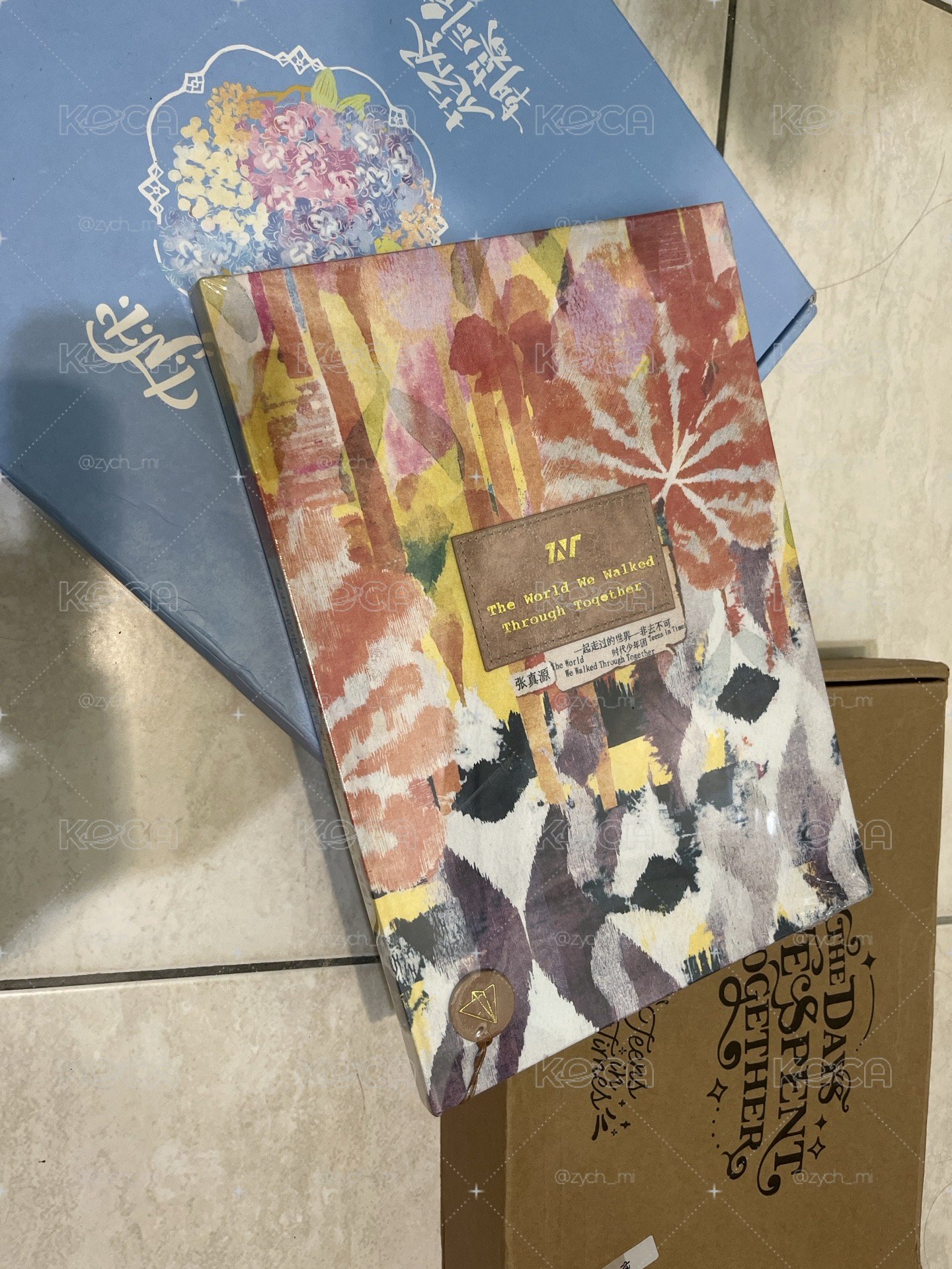 張真源三專全套