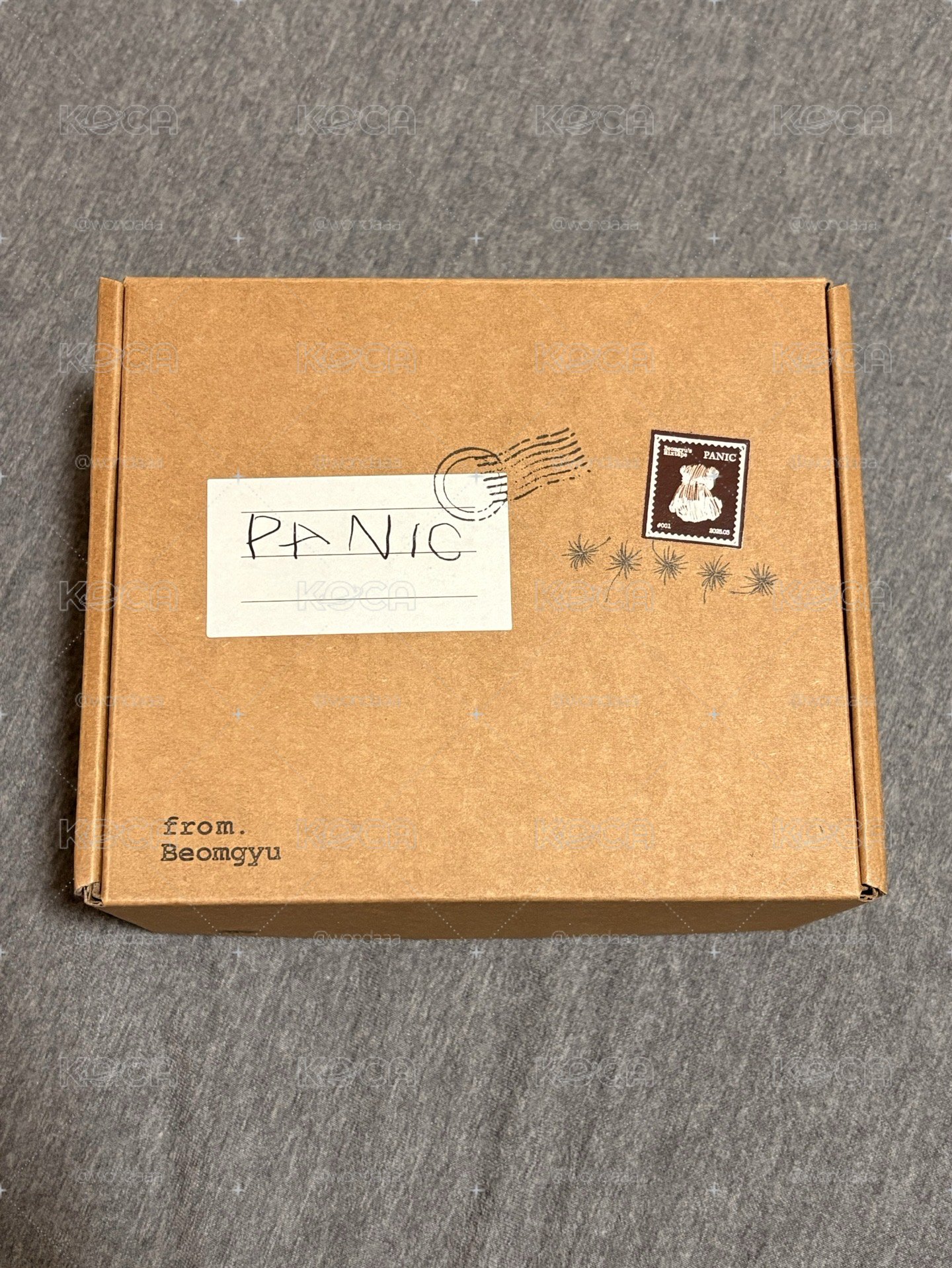 Panic 全專含特典