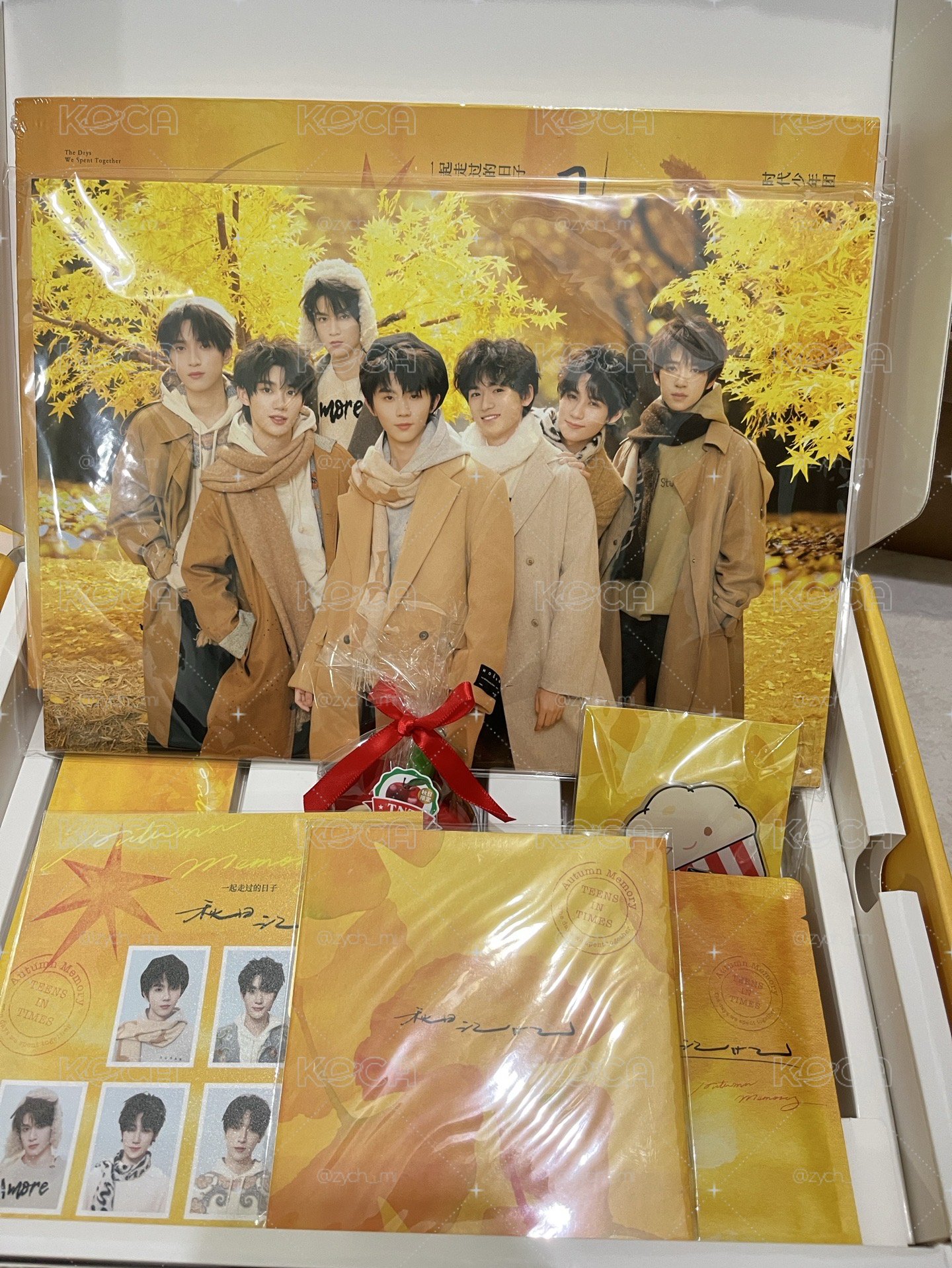 團秋日全套未拆