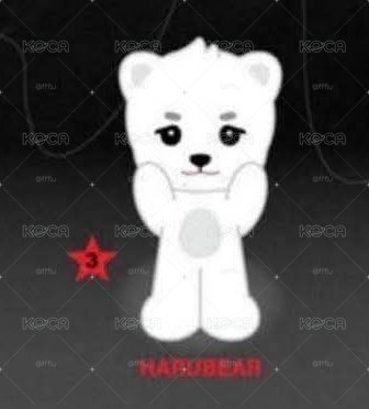 🐻‍❄️娃專(多帶100