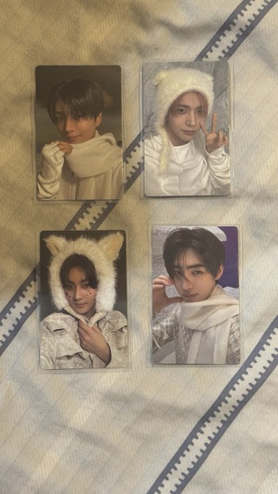 正二後續 wvs 特典 小卡+立牌