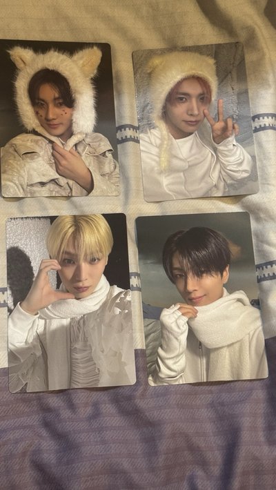 正二後續 wvs 特典 小卡+立牌