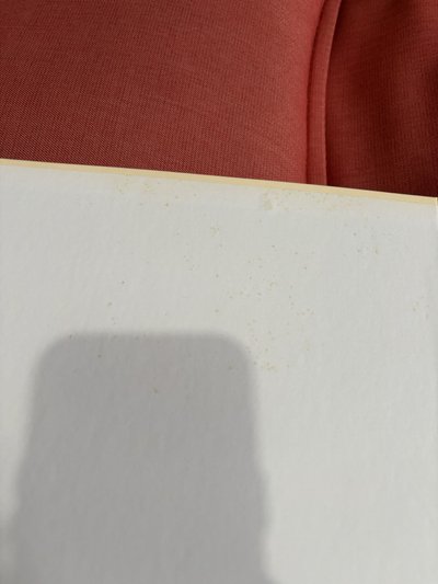 yes I’m Tzuyu 子瑜寫真