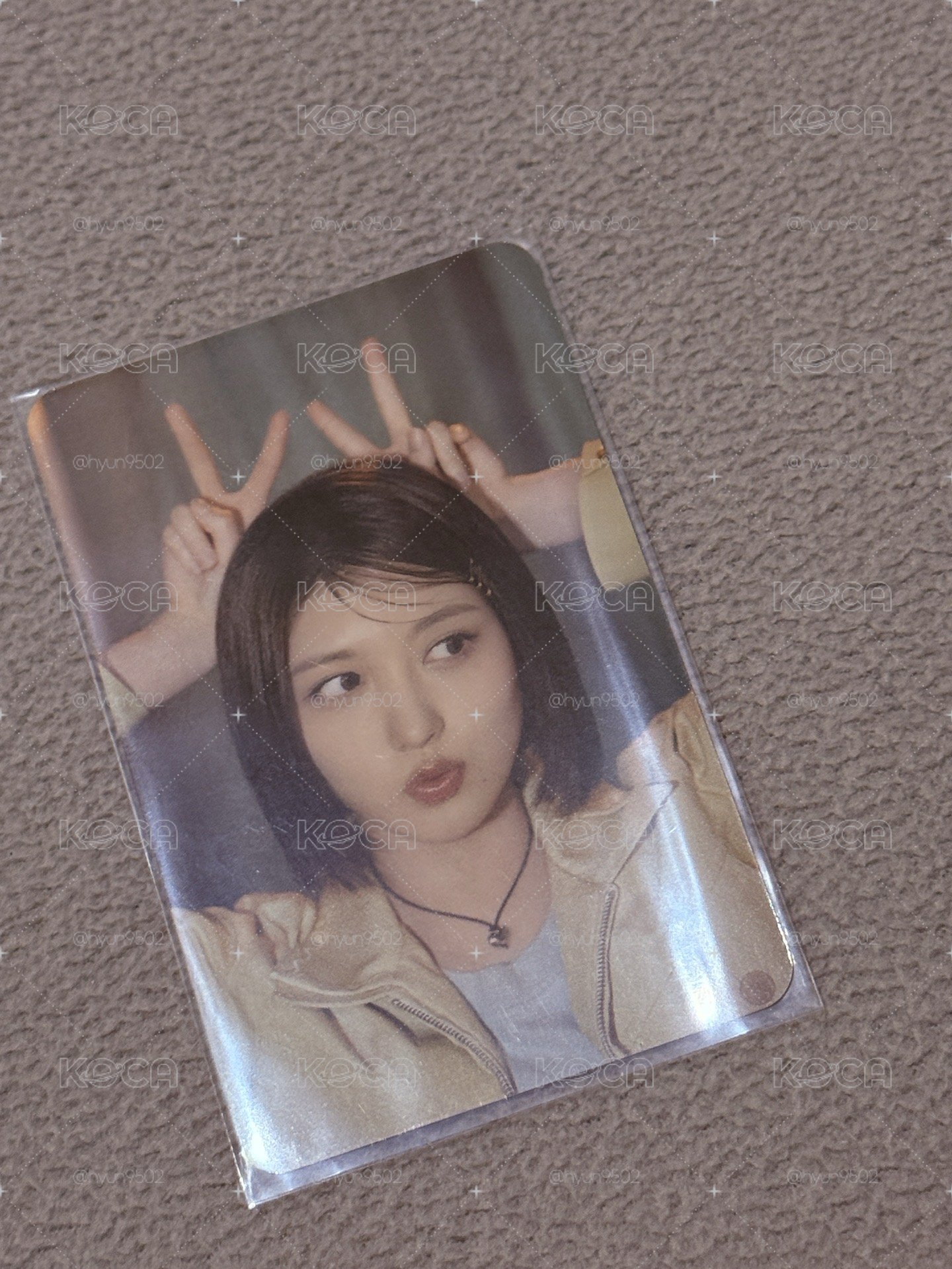 秋 特典