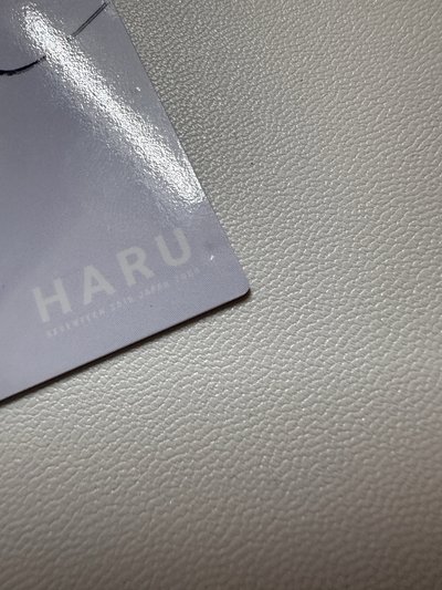 SEVENTEEN 淨漢 HARU親簽卡