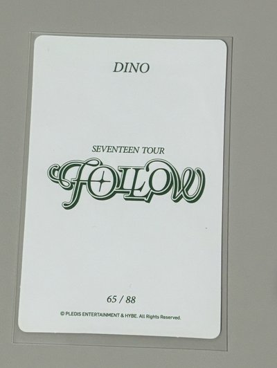正五 專輯卡 SEUNGKWAN+FOLLOW隨機卡 DINO