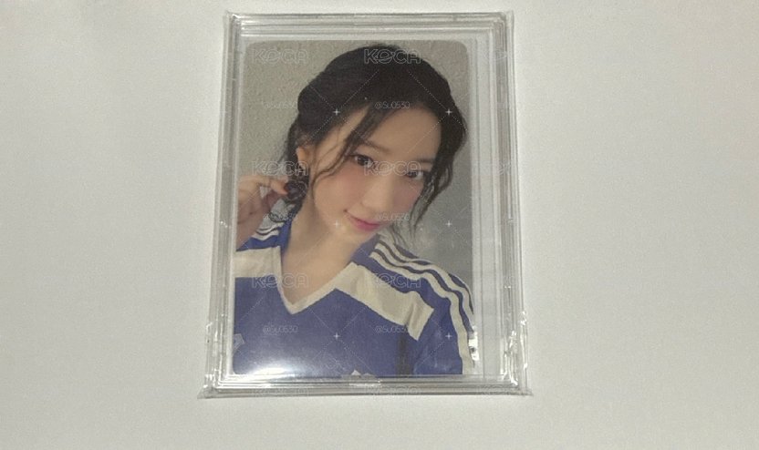 EASY yzy 青島中文卡背 一葉