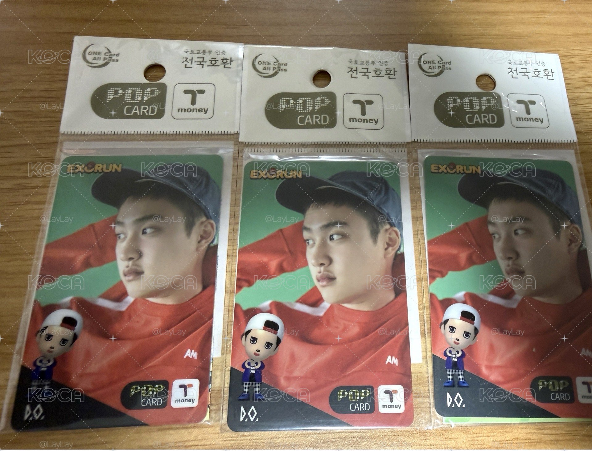 EXO D.O.嘟嘟交通卡