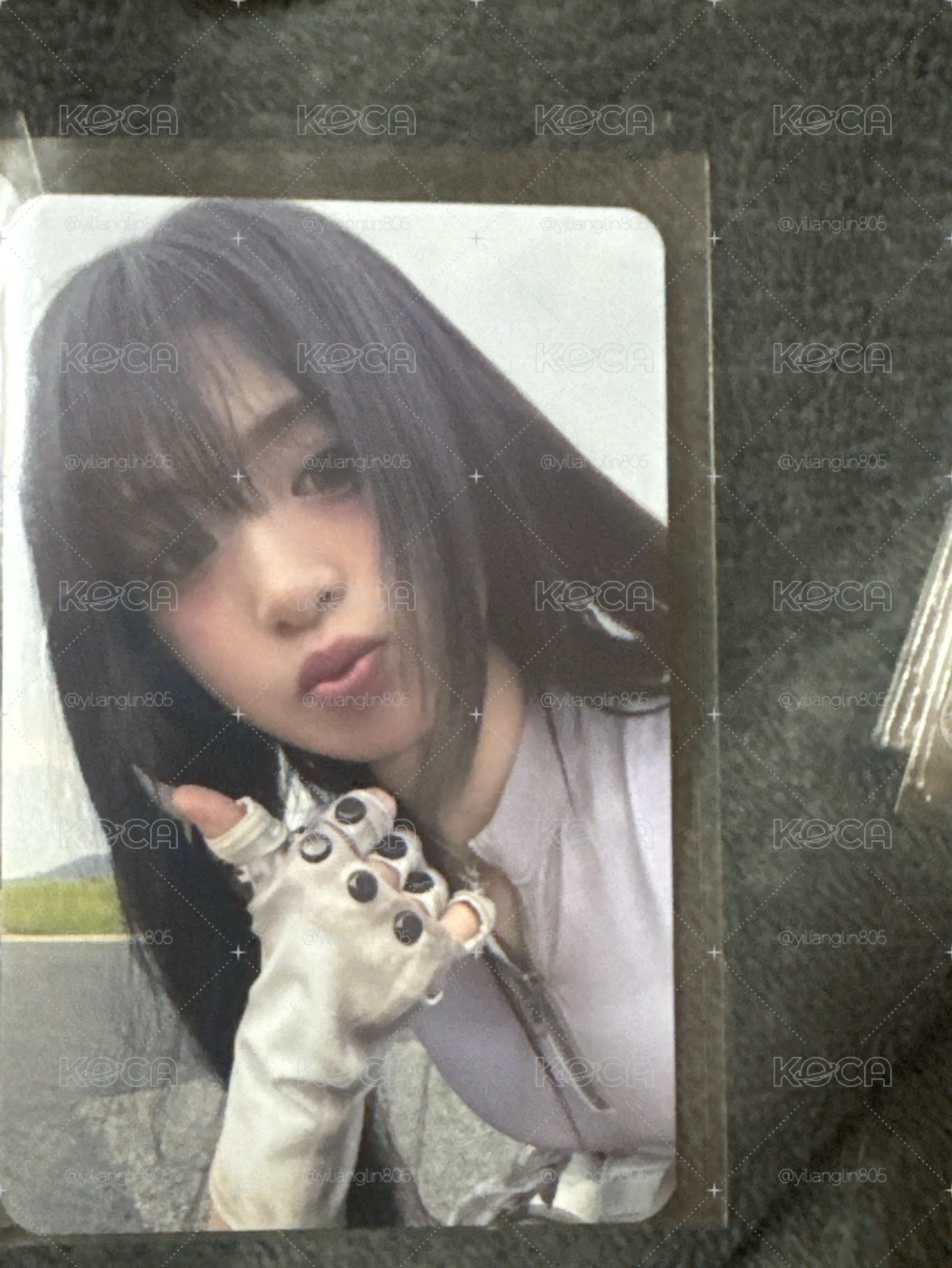 白衣賢 含一張綁