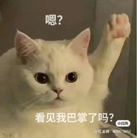 岑岑岑