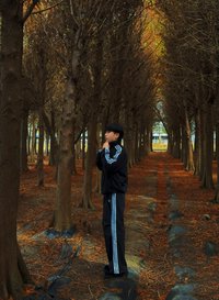 小羊