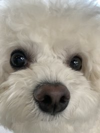 M_9yu
