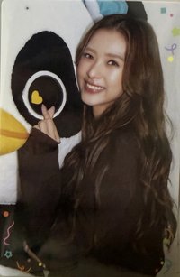 26年1月書展 隨機卡 