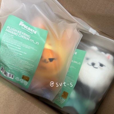 全新現貨 FINDING MOA 娃娃玩偶 崔勇猛 黃春 坐娃 